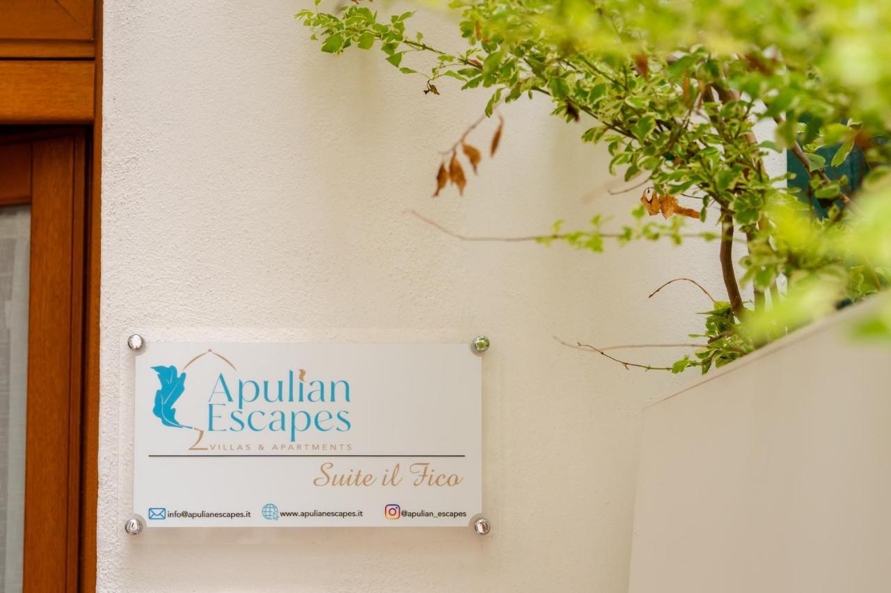 Apulian Escapes - Suite Il Fico بولينيانو آ ماري المظهر الخارجي الصورة